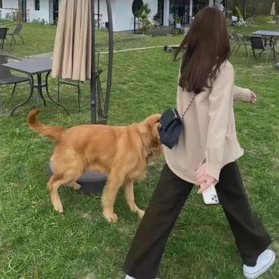 典当商